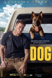 Dog izle