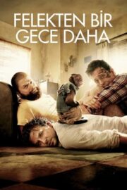 Felekten Bir Gece 2 izle