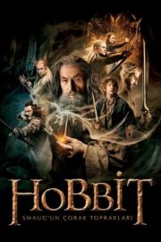 Hobbit 2: Smaug’un Çorak Toprakları izle